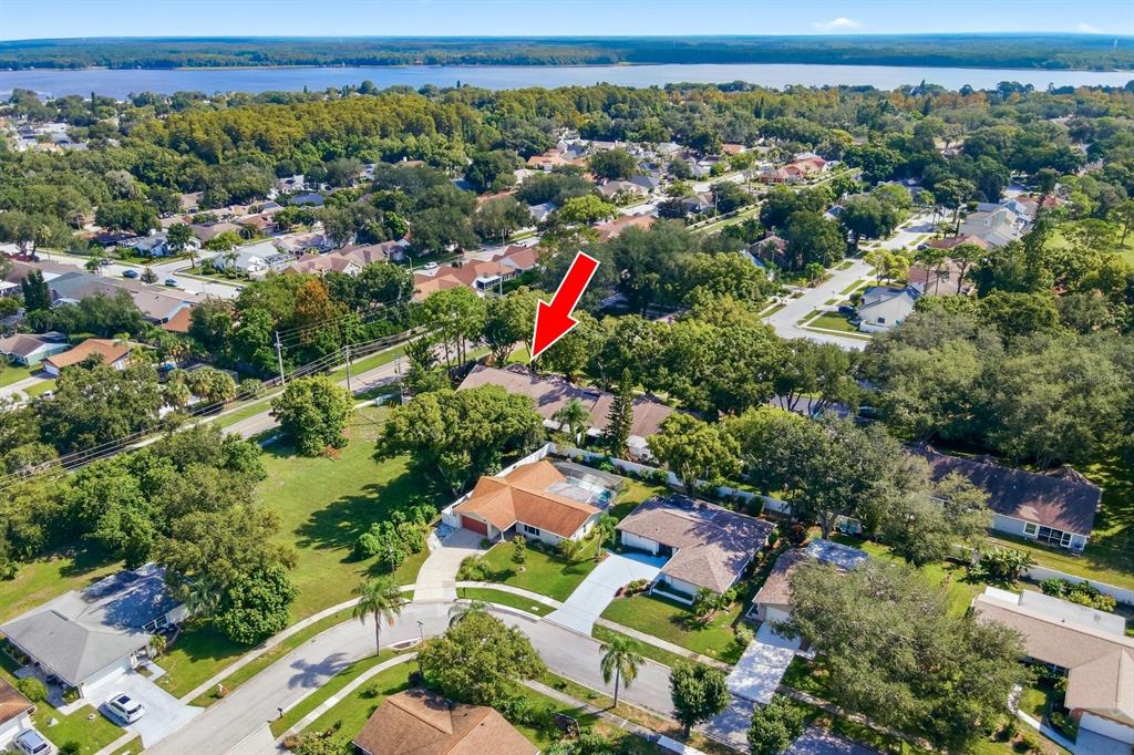 2712 BENTLEY DRIVE, PALM HARBOR, FL — photo 3 of 28