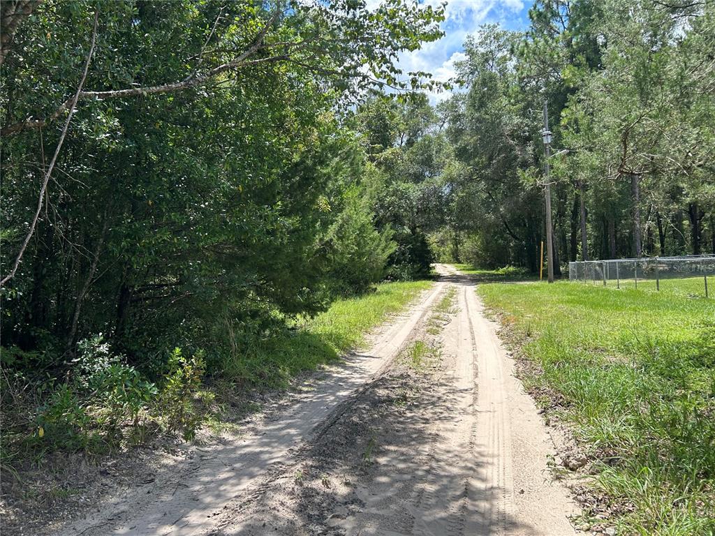 A dirt road leads through a wooded area with a chain-link fence on the right — 0000 NE 157TH TERRACE, WILLISTON, FL