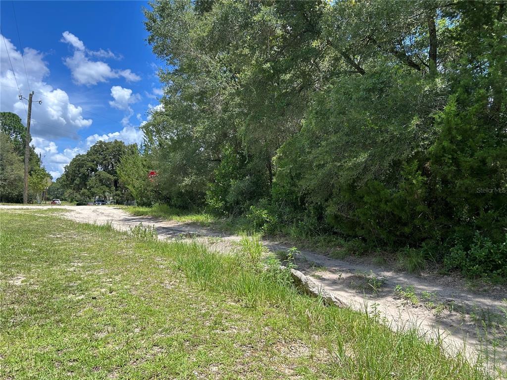 A dirt road runs alongside a wooded area under a blue sky with clouds — 0000 NE 157TH TERRACE, WILLISTON, FL
