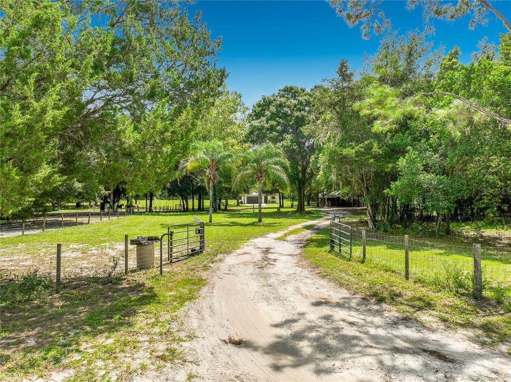 A dirt driveway leads through a gated pasture toward trees and a distant building — 34814 WILLIAM LANE, EUSTIS, FL