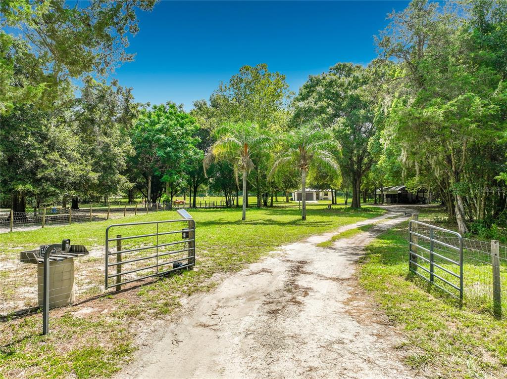 A dirt driveway leads through a metal gate toward a house surrounded by trees — 34814 WILLIAM LANE, EUSTIS, FL