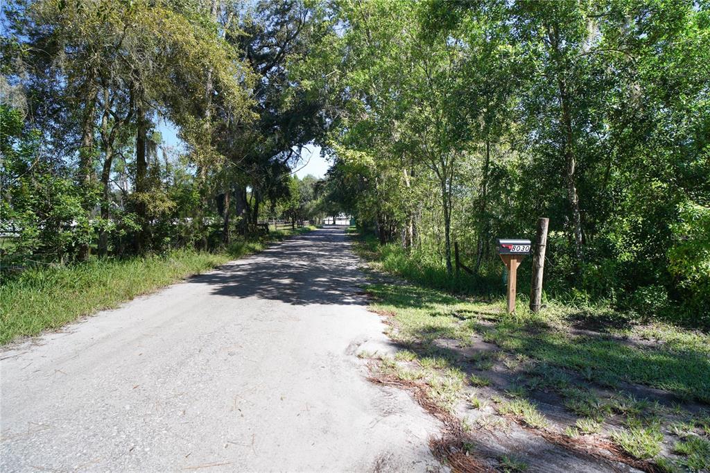 8030 BELCHER LANE, LAND O LAKES, FL — photo 5 of 21