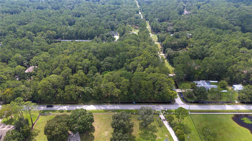 An aerial view shows a wooded lot bordered by a road and nearby residential properties — WEST DRIVE, WESLEY CHAPEL, FL