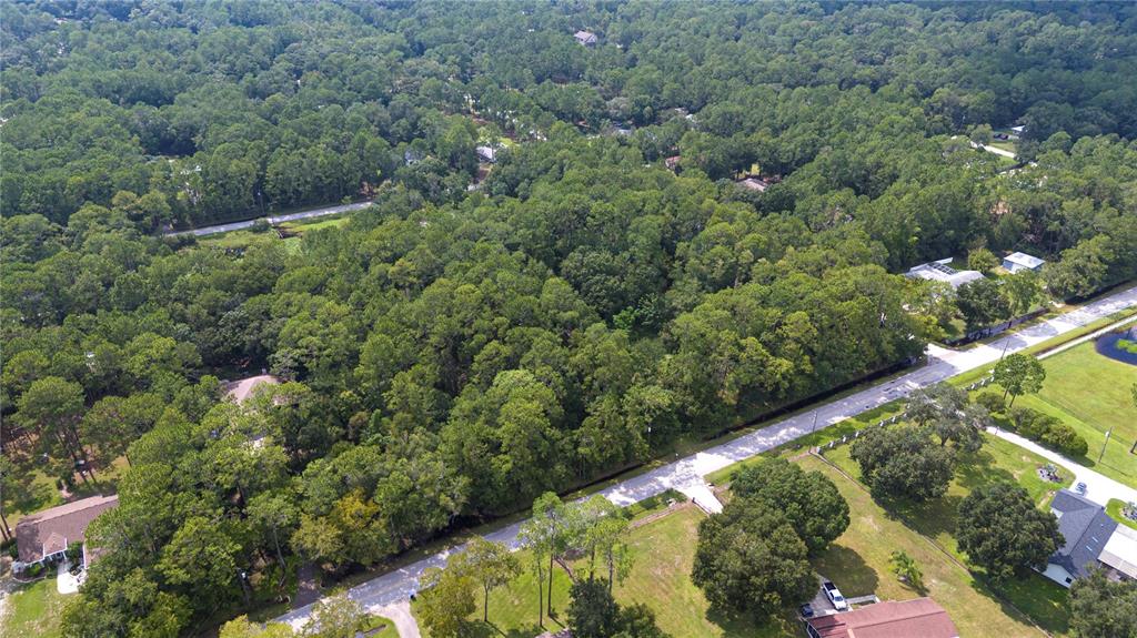 An aerial view shows a wooded lot situated between residential streets and houses — WEST DRIVE, WESLEY CHAPEL, FL