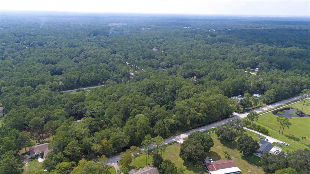 An aerial view shows a wooded lot surrounded by residential houses and a paved road — WEST DRIVE, WESLEY CHAPEL, FL