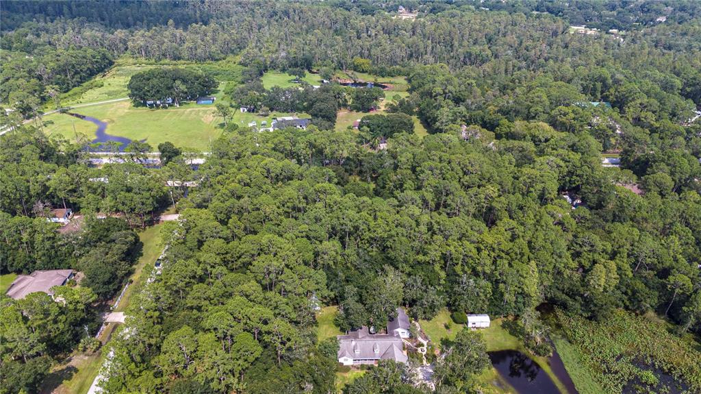 An aerial view shows a house surrounded by dense forest, a pond, and grassy fields — WEST DRIVE, WESLEY CHAPEL, FL