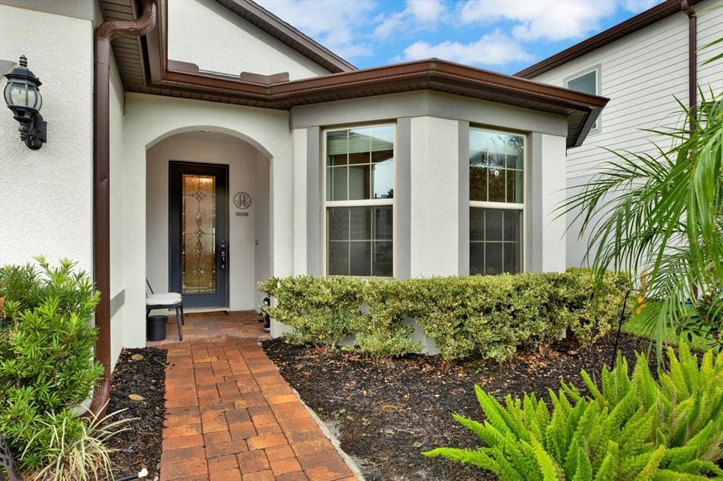 A single-story house with a brick driveway, gray garage door, and solar panels on the roof — 19234 MOSSY PINE DRIVE, TAMPA, FL