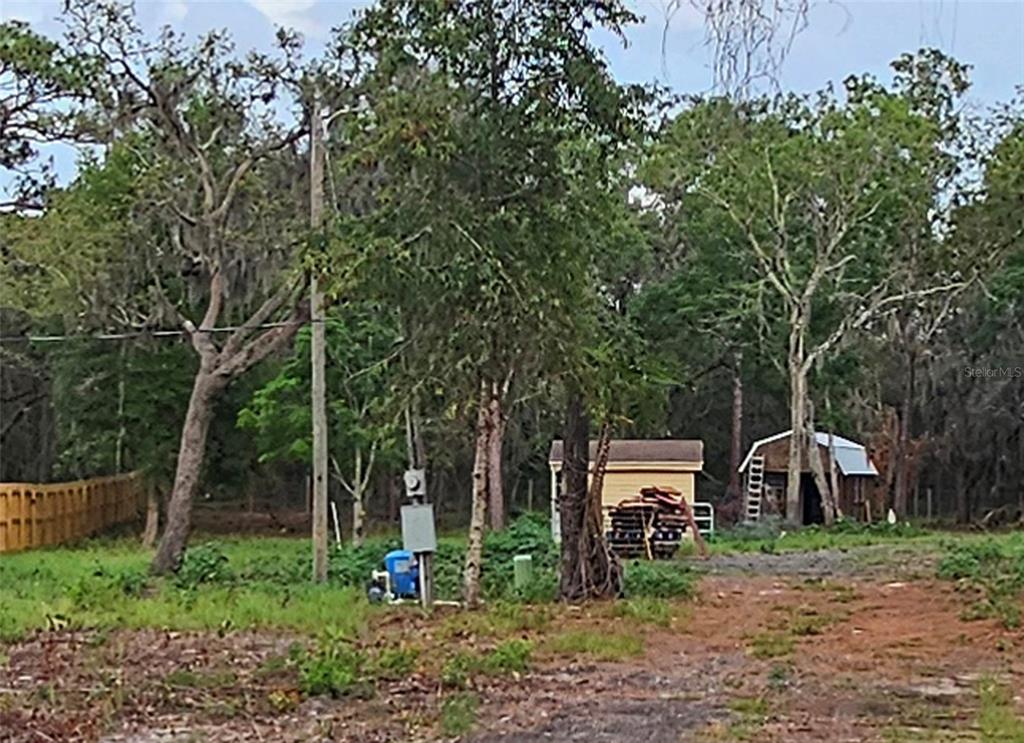 A wooded lot features a small shed, a utility pole, and a blue water pump — 17132 RIDGELINE TRAIL, HUDSON, FL