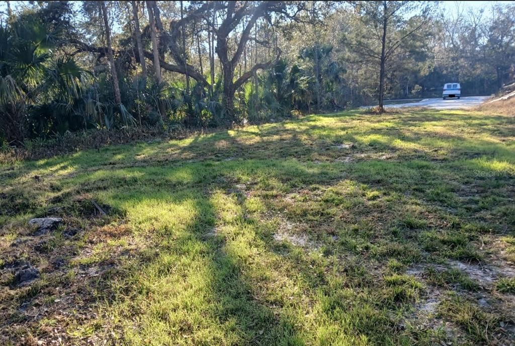 A grassy, partially shaded vacant lot with mature trees and a distant vehicle on pavement — 1013 CUPID AVENUE, CHRISTMAS, FL