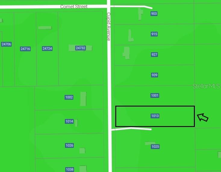 This is a map showing a rectangular parcel of land highlighted on Cupid Avenue — 1013 CUPID AVENUE, CHRISTMAS, FL