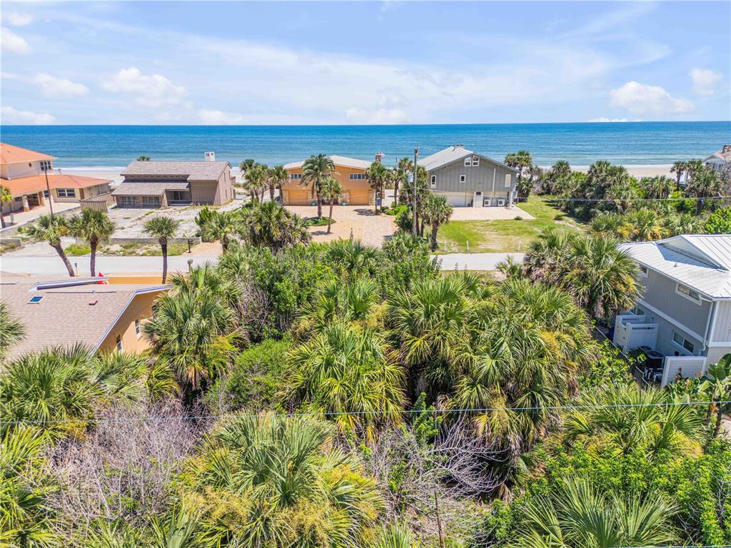 An aerial view shows a coastal lot with dense palm trees facing the ocean — 4712 VAN KLEECK DRIVE, NEW SMYRNA BEACH, FL