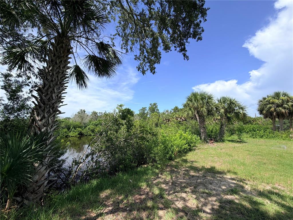 A grassy yard features a palm tree, dense vegetation, and a small pond under blue skies — 5105 BAY BOULEVARD, PORT RICHEY, FL