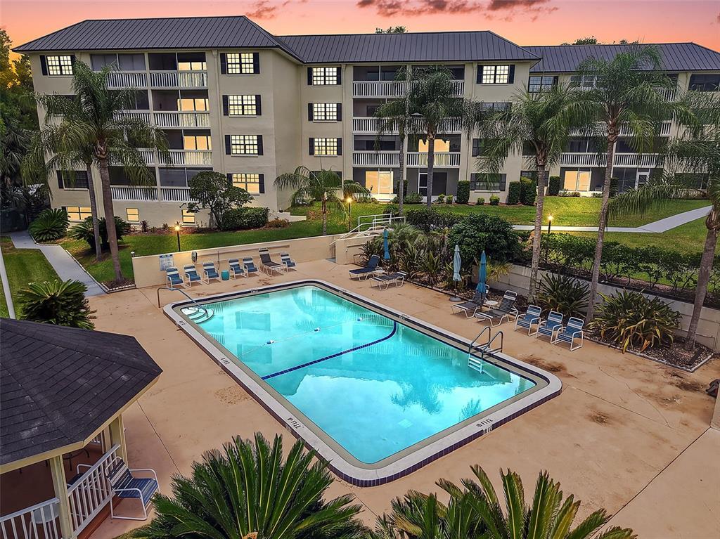 An elevated view of a rectangular swimming pool surrounded by lounge chairs and palm trees — 101 N GRANDVIEW STREET UNIT 203, MOUNT DORA, FL