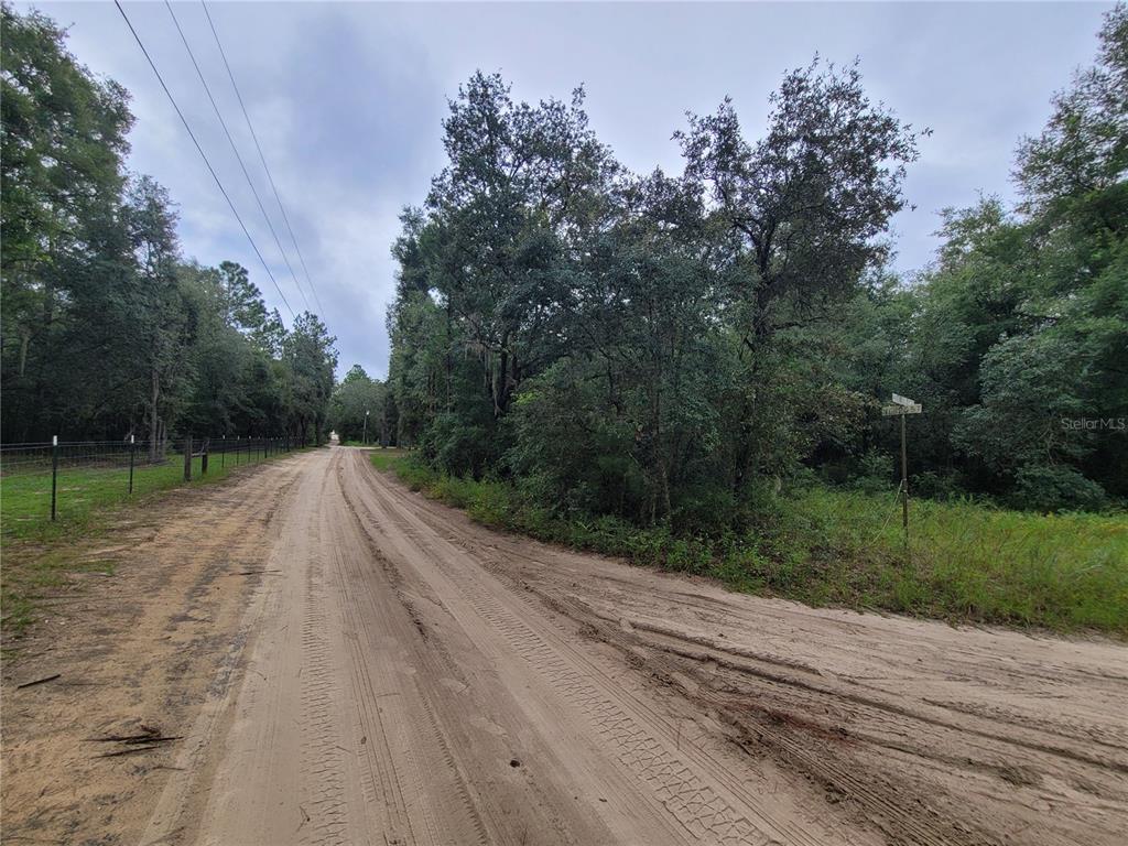 A dirt road runs alongside a wooded lot with a wire fence and street sign — TBD NE 81ST TER DRIVE, BRONSON, FL