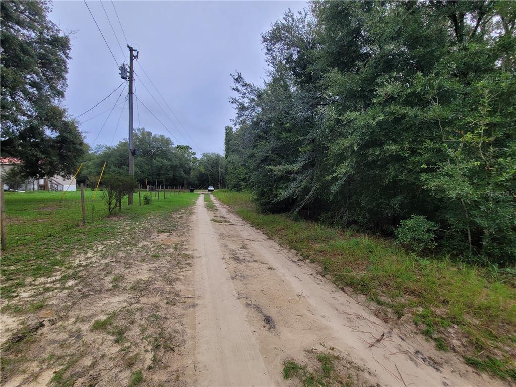 A dirt road runs between a grassy fenced yard and a dense wooded area — TBD NE 81ST TER DRIVE, BRONSON, FL