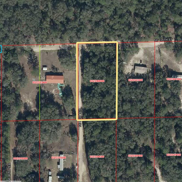 This is an aerial map showing a rectangular, wooded plot of land outlined in yellow — TBD NE 81ST TER DRIVE, BRONSON, FL