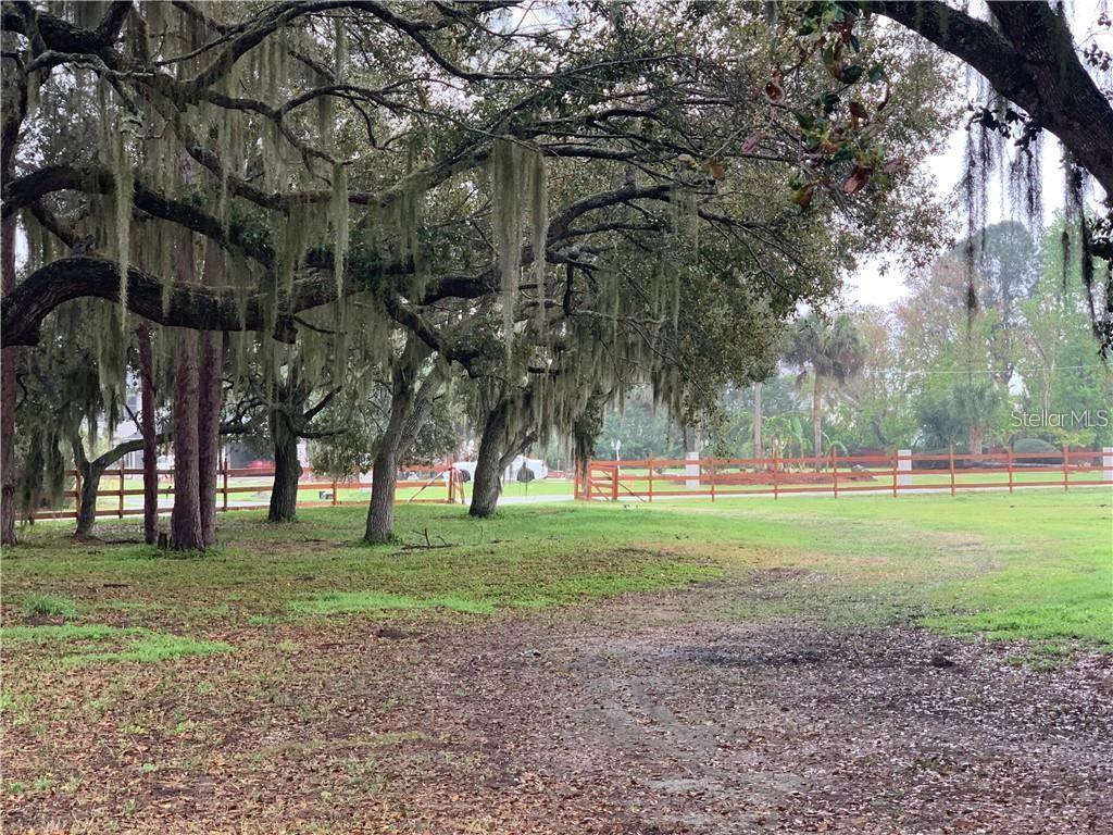 A grassy yard features large oak trees with Spanish moss and a wooden fence — MARJORIE ROAD, ST CLOUD, FL
