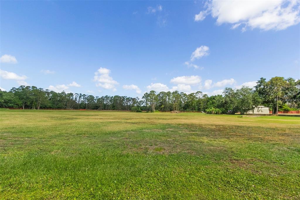 A large, open grassy field is bordered by a line of trees under a blue sky — MARJORIE ROAD, ST CLOUD, FL