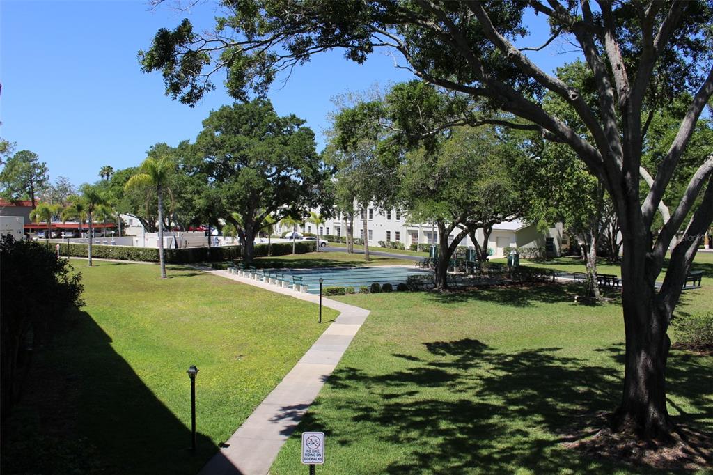 A paved walkway leads through a grassy courtyard with mature trees and a covered pool area — 2700 BAYSHORE BOULEVARD UNIT 2207, DUNEDIN, FL