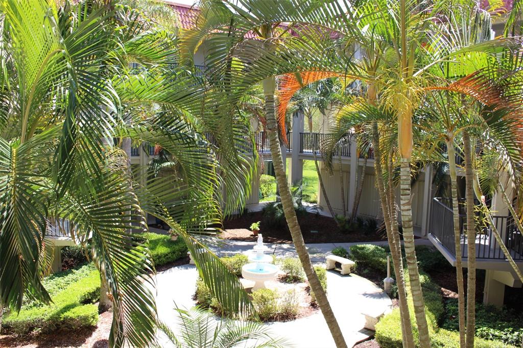 A courtyard features a tiered fountain, palm trees, and walkways surrounded by multi-story residential buildings — 2700 BAYSHORE BOULEVARD UNIT 2207, DUNEDIN, FL