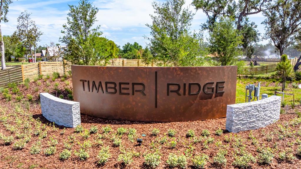 A curved metal sign reading Timber Ridge stands in a landscaped garden with stone accents — 3023 PARAPET TERRACE, PLANT CITY, FL