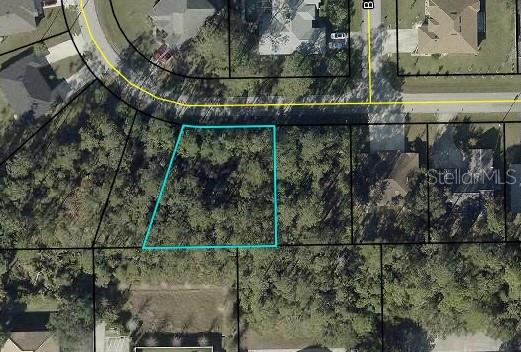 43 BRUNSWICK LANE, PALM COAST, FL — photo 2 of 4