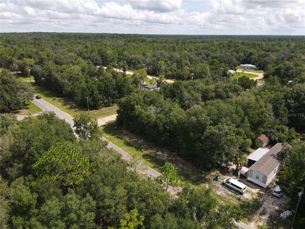 TRENTON ST, INTERLACHEN, FL — photo 3 of 28