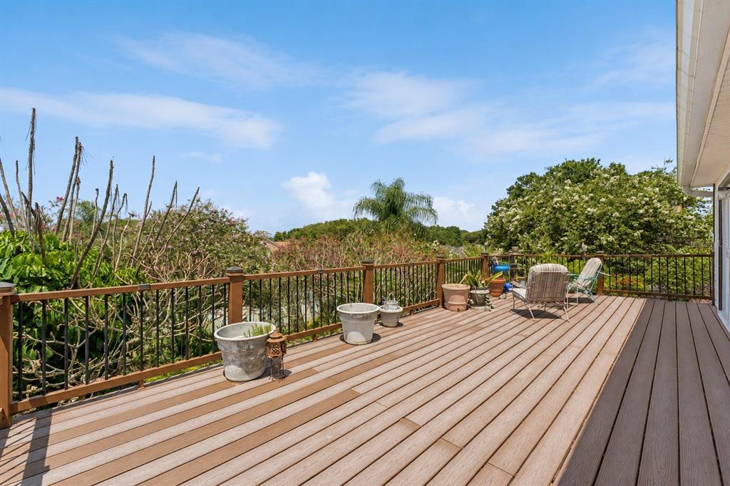 A wooden deck with a metal railing overlooks trees and a blue sky — 9130 DOLLANGER COURT, ORLANDO, FL