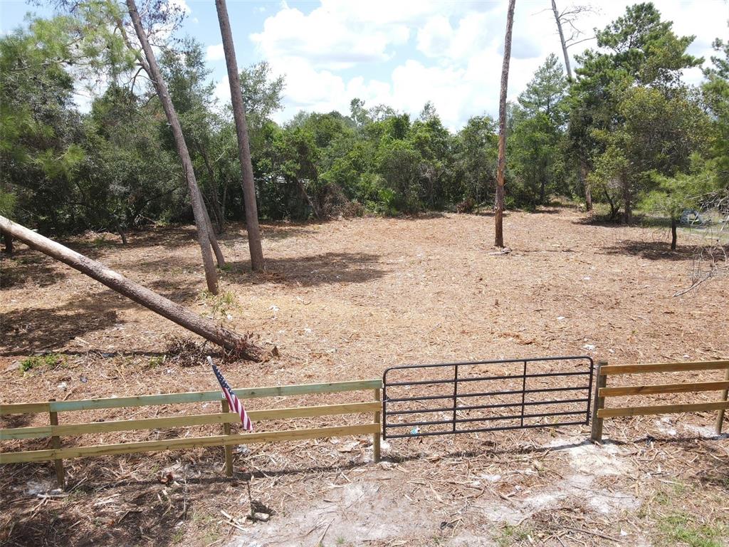 A cleared, vacant lot features a wooden fence, a metal gate, and several tall pine trees — W PINE STREET, PAISLEY, FL