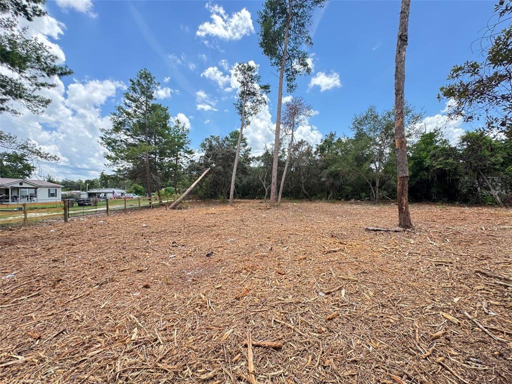 A cleared, wood-chipped lot features several tall pine trees and a wooden perimeter fence — W PINE STREET, PAISLEY, FL