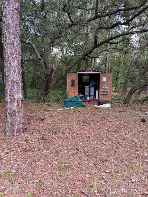 A small wooden storage shed sits in a wooded area with pine needles on the ground — 4555 SW 175 COURT, DUNNELLON, FL