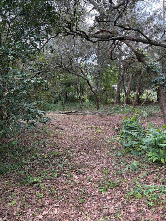 A wooded, leaf-covered lot with scattered branches and mature trees under a bright sky — 4555 SW 175 COURT, DUNNELLON, FL