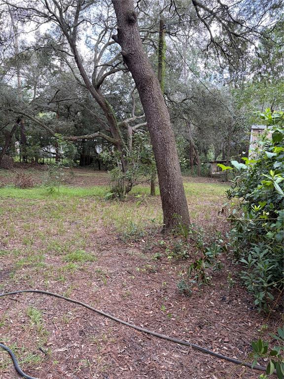 A large tree stands in a grassy, wooded backyard with a garden hose in the foreground — 4555 SW 175 COURT, DUNNELLON, FL