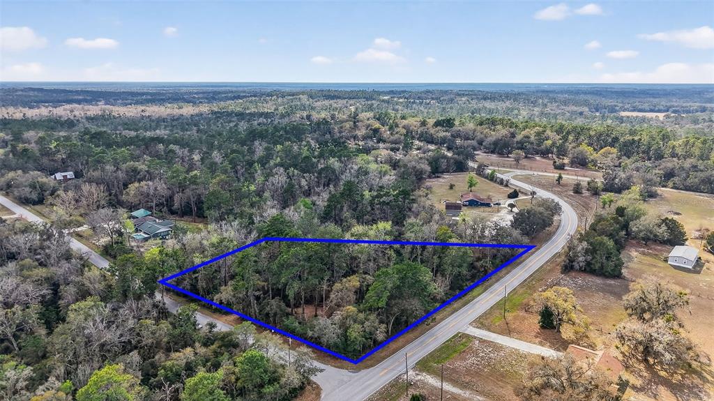 An aerial view shows a wooded, triangular plot of land outlined in blue beside roads — 0 POWELL ROAD, BROOKSVILLE, FL