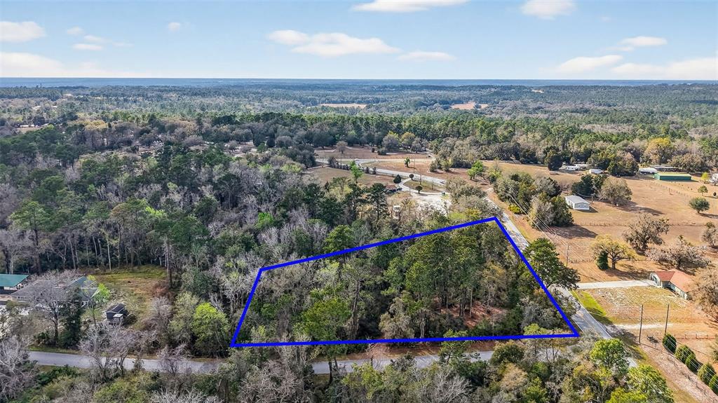 An aerial view shows a wooded, trapezoidal plot of land outlined in blue near a road — 0 POWELL ROAD, BROOKSVILLE, FL