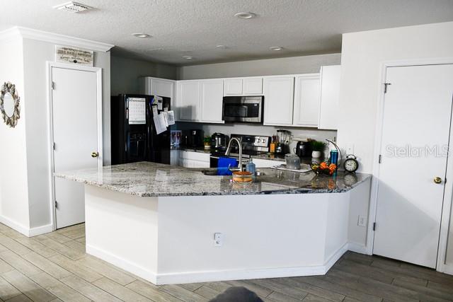 2607 AVENTURINE STREET, KISSIMMEE, FL — photo 5 of 9