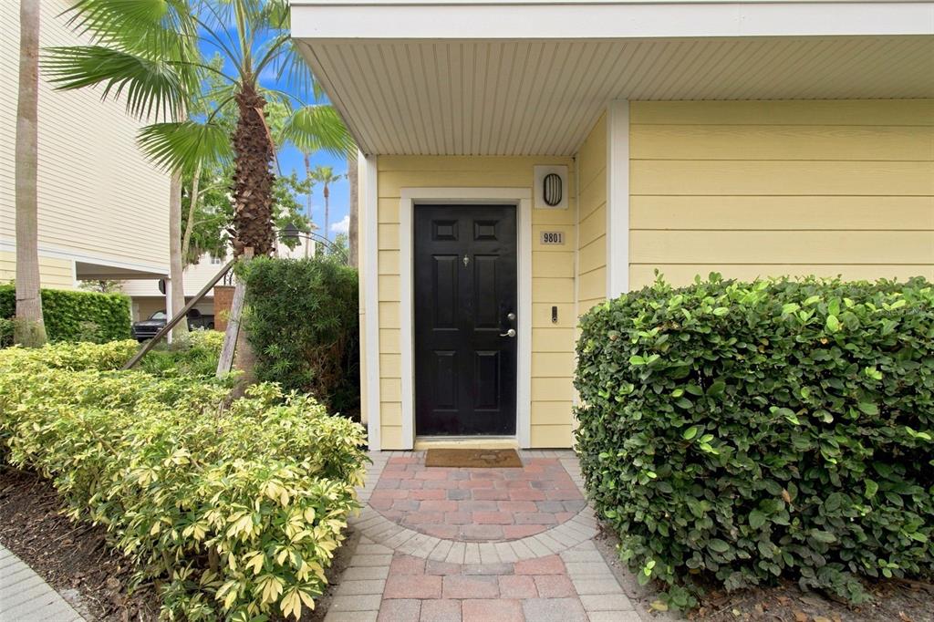 A black front door with a house number sits under a covered entryway with landscaping — 9801 MEADOW FIELD CIRCLE, TAMPA, FL
