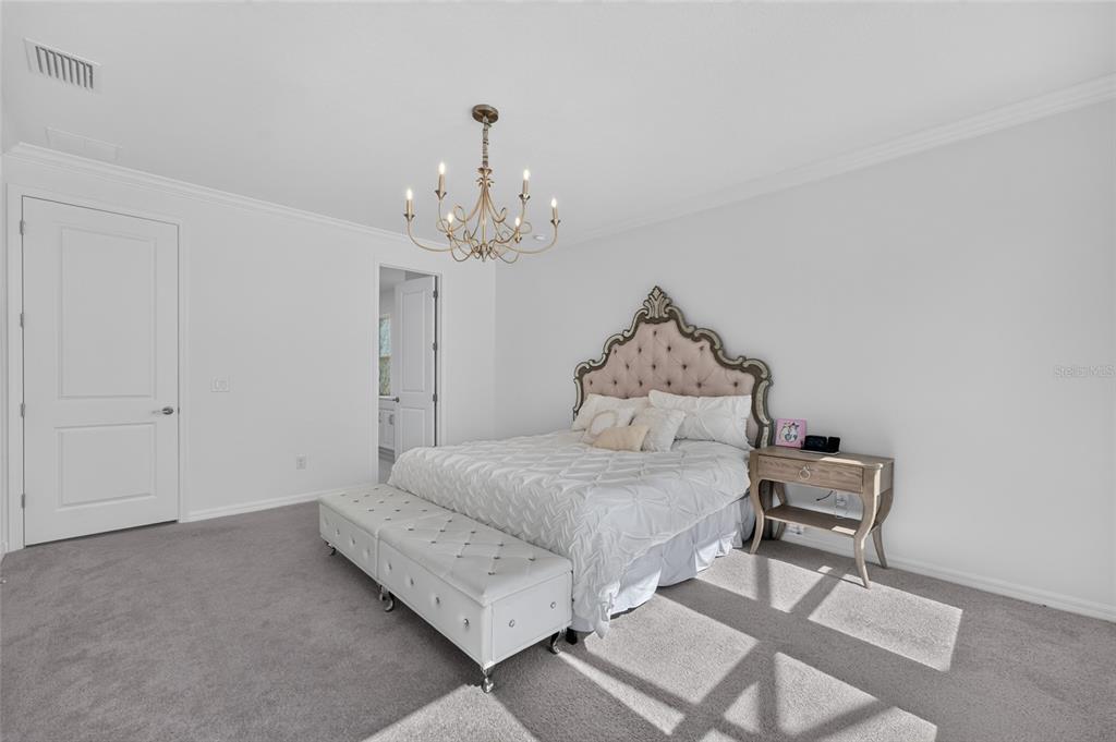 A bedroom features a tufted headboard, a white bench, and a chandelier on gray carpet — 33751 LANDSMAN LOOP, WESLEY CHAPEL, FL