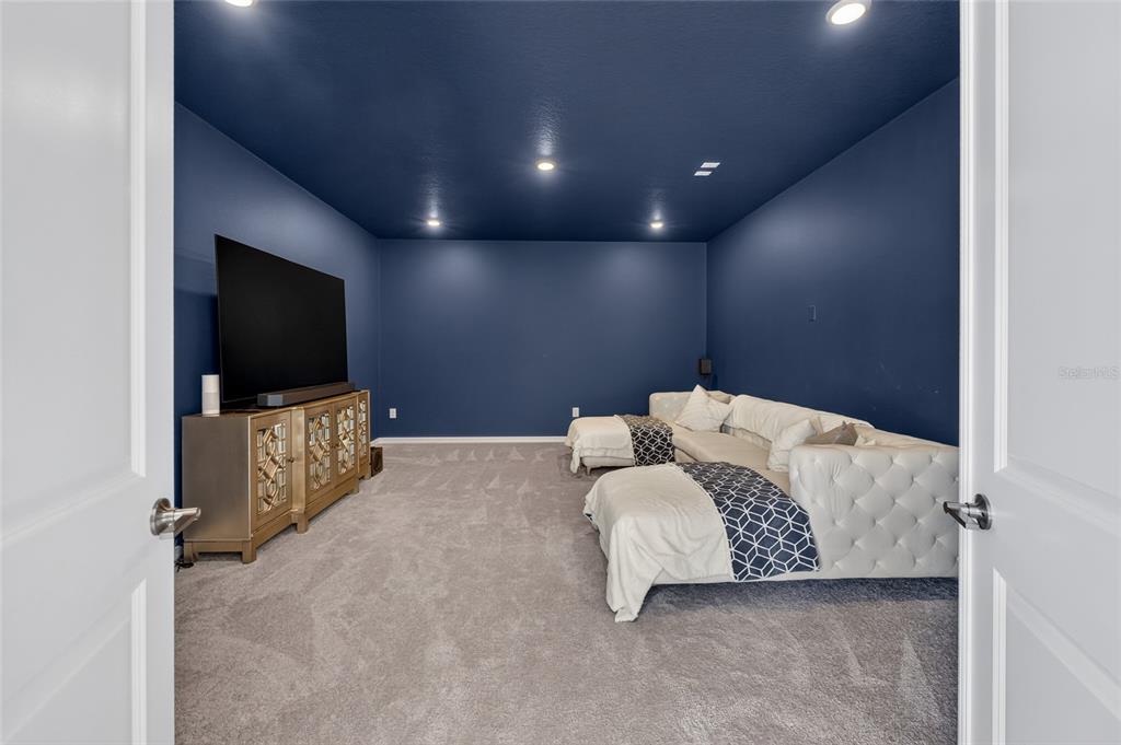 A media room features dark blue walls and ceiling, gray carpeting, and a white sectional — 33751 LANDSMAN LOOP, WESLEY CHAPEL, FL