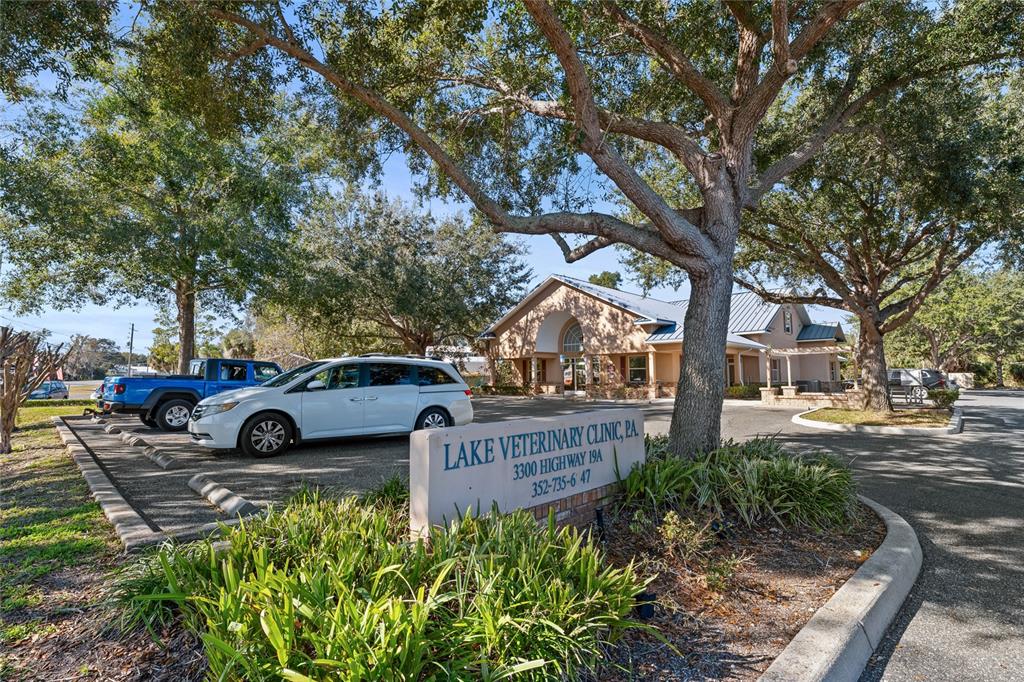 A veterinary clinic building sits behind a parking lot with a prominent street sign — 3300 N HIGHWAY 19A, MOUNT DORA, FL