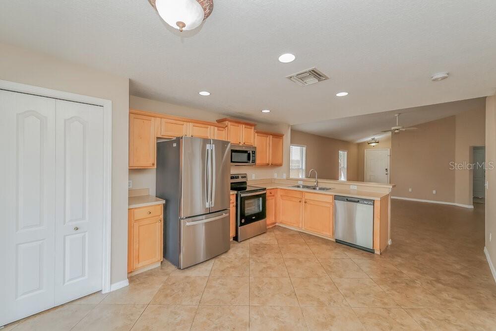 8424 DEER CHASE DRIVE, RIVERVIEW, FL — photo 5 of 16