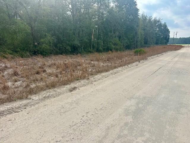 A dirt road runs alongside a vacant, grassy lot bordered by a line of trees — NW 11TH AVENUE, BELL, FL