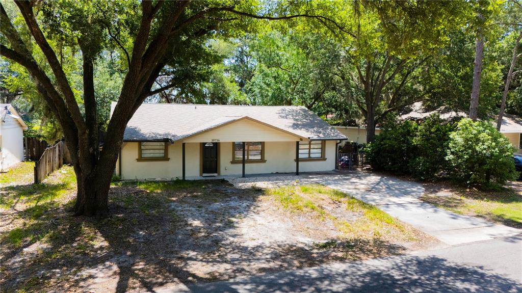 A single-story house with a beige exterior, a gabled roof, and a concrete driveway — 39736 MEADOWOOD LOOP, ZEPHYRHILLS, FL