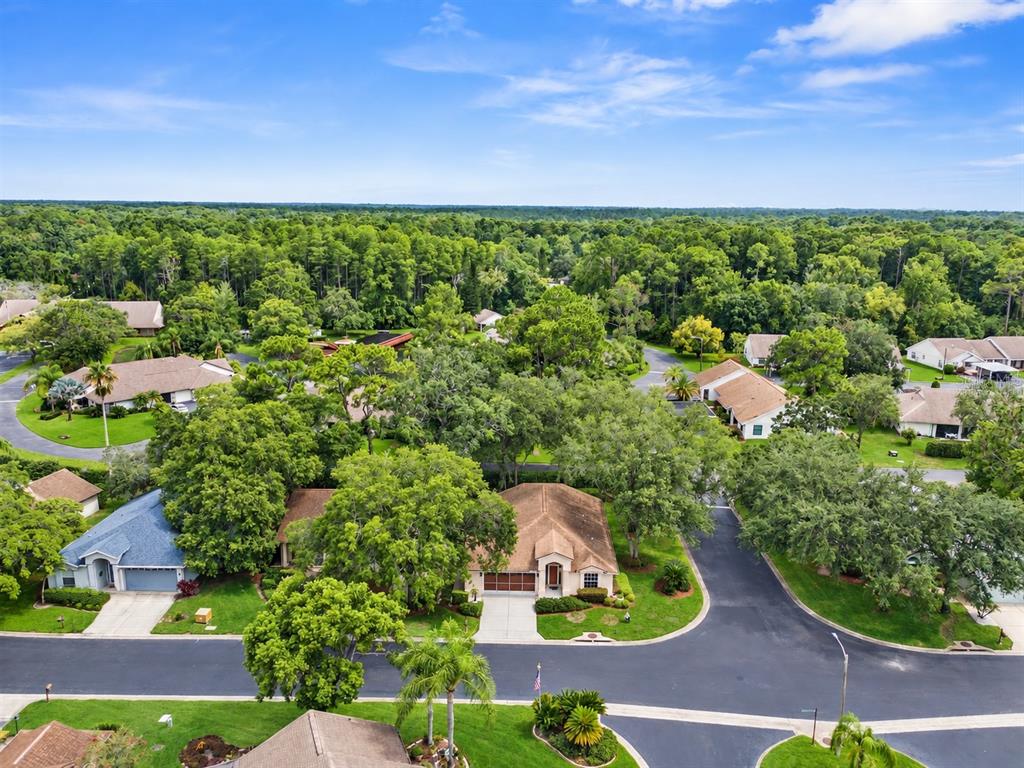10846 BROOKHAVEN DRIVE, NEW PORT RICHEY, FL — photo 2 of 29