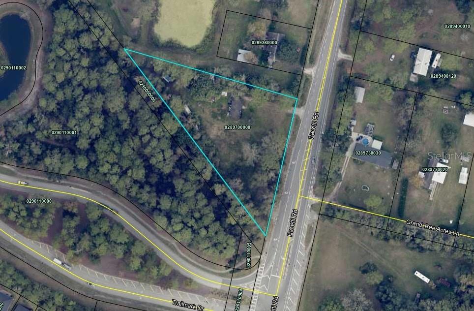 An aerial map shows a triangular property parcel outlined in blue along a road — 2981 PACETTI ROAD, ST AUGUSTINE, FL