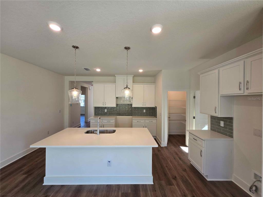 3352 DAYBREAK RUN LOOP, SPRING HILL, FL — photo 3 of 14