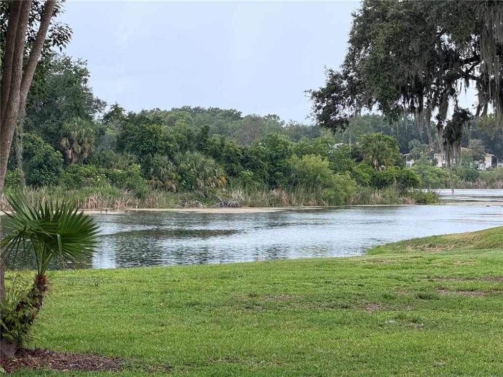 A grassy lawn overlooks a lake bordered by dense trees and vegetation — 687 MIDWAY DRIVE UNIT A, OCALA, FL