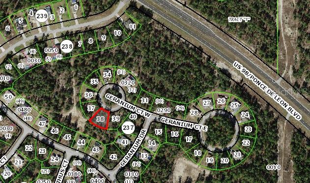 This is a satellite map view showing a highlighted residential lot in a cul-de-sac — 6 GERANIUM COURT W, HOMOSASSA, FL