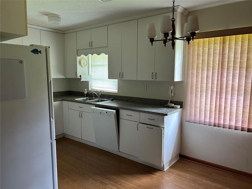 A kitchen features white cabinets, a dishwasher, a double sink, and wood-look flooring — 24121 ARMADILLO ROAD, ASTOR, FL