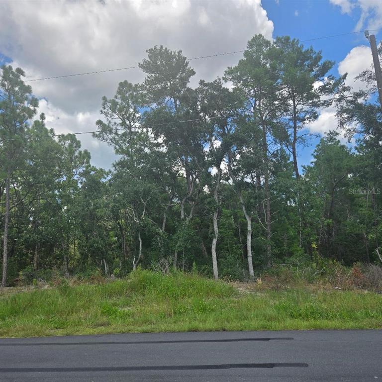 A paved road runs in front of a wooded lot with tall pine and oak trees — TBD SW 62ND CT, OCALA, FL